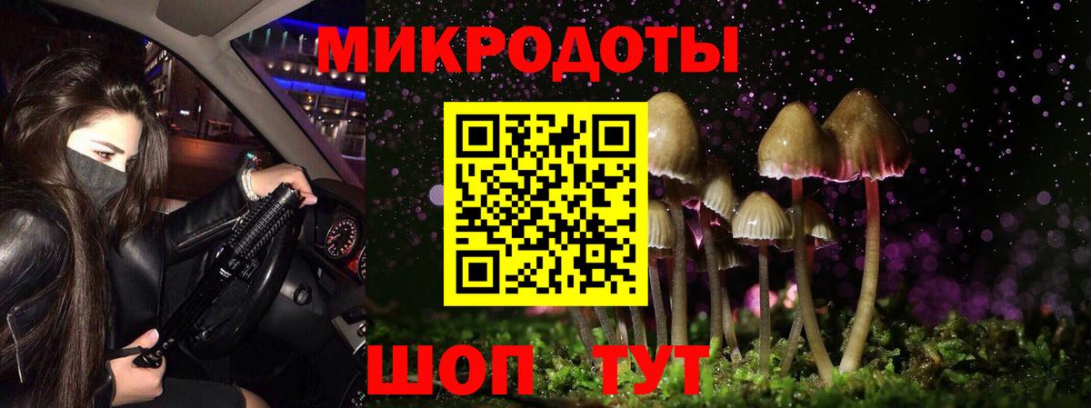 Псилоцибиновые грибы Cubensis Орск