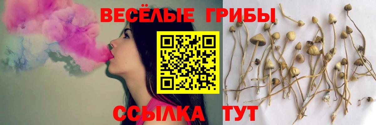 Псилоцибиновые грибы Psilocybe  Псилоцибиновые грибы Cubensis  Вход с VPN  Орск 